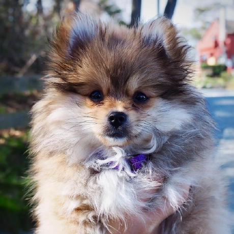 Profile picture of aMediocreDad