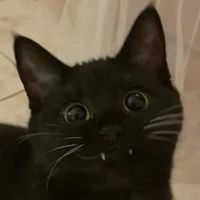 Profile picture of Edwin