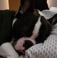 Profile picture of GhanJi