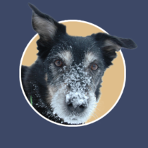 Profile picture of Ivan