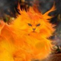 Profile picture of Gen Kitty