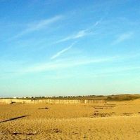 Profile picture of peezepee