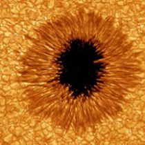 Profile picture of balephor