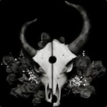 Profile picture of André de Jager