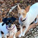 Profile picture of Arun in Watertown