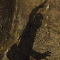 Profile picture of Will Bidstrup