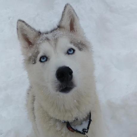 Profile picture of jaypeedaylee