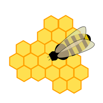 Profile picture of felddy