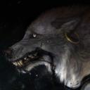 Profile picture of iwns