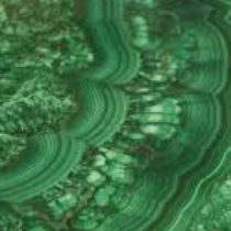 Profile picture of MalachiteRain