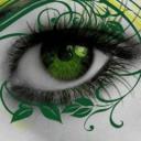 Profile picture of robin