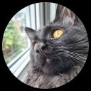 Profile picture of Tribble