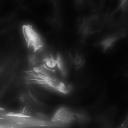 Profile picture of DragonHale