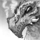 Profile picture of Programming Dragon
