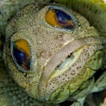 Profile picture of MyKill