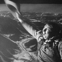 Profile picture of Thaliff