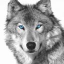 Profile picture of Arctic_Wolf