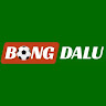 Profile picture of bongdalueucom