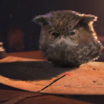 Profile picture of Focaccia